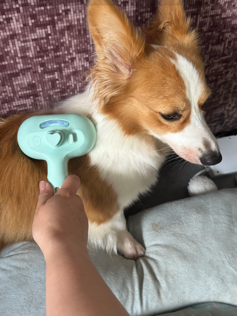 Foto cliente: Aeriva Soffio usata su un cane