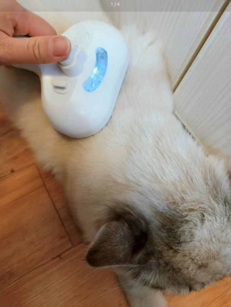 Foto cliente: Aeriva Soffio usata su un gatto bianco